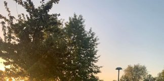 Porto, lavori al via per la nuova area cani al parco Cà Rossa