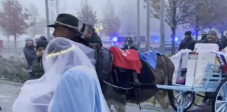 Regali ai bimbi in pediatria: il Caem capofila dell’iniziativa di solidarietà