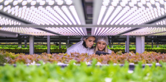 TuttoFood 2025, Camera di Commercio apre partecipazione a 12 imprese del settore agroalimentare