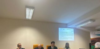 Agricoltura, Galella (Basilicata): “Impegnati da maggio 131 milioni di fondi comunitari”