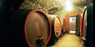 Rapporto Ismea-Qualivita, balzo avanti export Dop e Igp a 11,6 mld, +8%