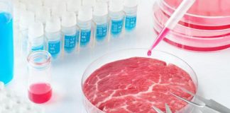 Stop carne sintetica, Mattarella promulga legge ma Italia rispetterà Ue