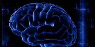 Covid può cambiare il cervello, studio su pazienti con sintomi persistenti