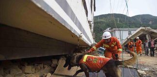 Terremoto in Cina, scossa 6.2 nella provincia del Gansu: decine di morti