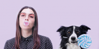 Dog photographer nel week end al Mantova Village