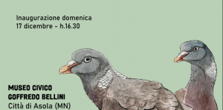 Asola, domenica 17 dicembre inaugura la mostra di Ettore Anzalone “I colori dell’inverno”