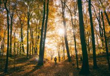 L’estate di San Martino non delude, stop alla pioggia arrivano beltempo e temperature miti