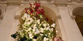8 dicembre, gli auguri social di Giorgia Meloni: foto con albero Natale tricolore
