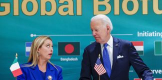 Governo, leader export olio in Usa: “Meloni credibile, con lei spinta a Made in Italy”