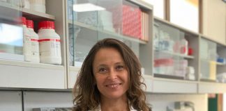 Schizofrenia, studio Neuromed apre a nuove prospettive di trattamento