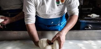 Sostenibilità, per ogni kg di mozzarella dop sottratti 52 kg di Co2 dall’ambiente