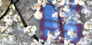 Dedicare equinozio di primavera al calabrese Lilio, proposta di legge Lega