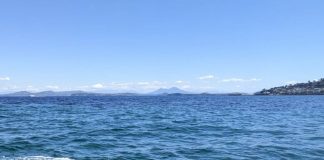 Terna sperimenta l’uso di un drone sottomarino per ispezione dei fondali