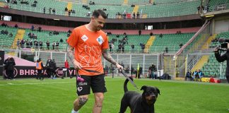 Palermo, Feralpisalò e LAV in campo per i diritti degli animali