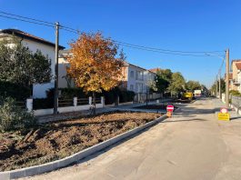 Mantova, la nuova via Amadei prende forma