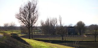 Ada Giorgi è il nuovo presidente dal Parco Golene Foce Secchia