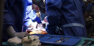 Trapianto senza precedenti a Torino, cuore e fegato ‘in vita’ durante trasporto