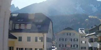 Bolzano, test Dna ai cani per lotta a escrementi in strada: la storia finisce sul Guardian