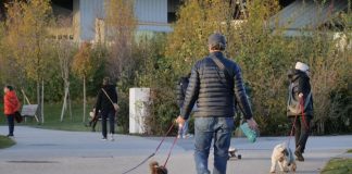 Fido sporca le vie di Mantova? Presto multe sestuplicate ai padroni negligenti