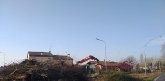 Poggio Rusco: alberi ammalorati abbattuti, ma ne saranno piantati di nuovi