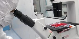 Car-T contro malattie autoimmuni, Bambino Gesù tratta primi 3 pazienti