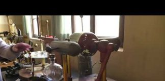 Gli Amici del Virgilio al lavoro per il recupero del patrimonio storico del Liceo di via Ardigò