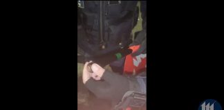 Padova-Mantova, dalla bandiera spunta un coltello: indagini in corso