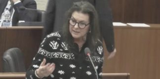 Più posti letto nelle rsa mantovane: emendamento di Bulbarelli (Fdi) in Consiglio Regionale