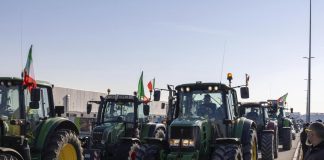 Protesta agricoltori, miccia esplode in tutta Italia: oggi presidio anche a Mantova