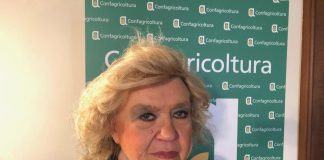 Alimenti, nutrizionista Hrelia: “Carne rossa fonte preziosa di vitamina B12”