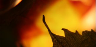 Diritti a colori, sabato 17 ultimo appuntamento con il fotografo Elio Scarciglia