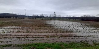 Area Polo Logistico allagata dalla pioggia: Carra (PD): “se cementificata rischio idrogeologico serio”