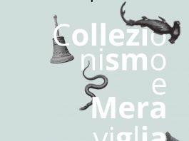 Al Museo Bellini di Asola la sezione “Collezionismo e meraviglia”. Il 9 marzo l’inaugurazione
