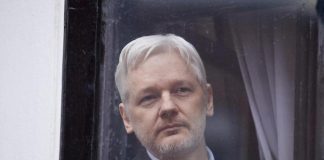 Julian Assange cittadino onorario di Roma