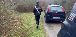 Ucciso da rottweiler a Manziana, indagati i proprietari dei cani