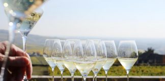 Champagne, da vigneron e Maison fiducia per il 2024 e nuovi impegni di filiera
