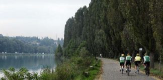 Lavori di potatura, interrotta la ciclovia Mantova-Peschiera a Porto Mantovano