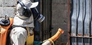 Dengue, l’allarme si allarga: dopo il Brasile colpita anche Argentina
