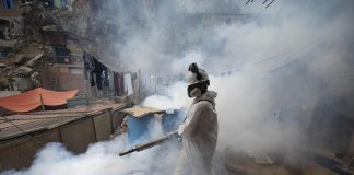 Dengue, stato di emergenza sanitaria in 20 regioni del Perù