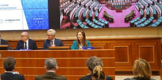 Vitiligine, Leonardi (Fdi): “Manifesto essenziale per presa in carico pazienti”