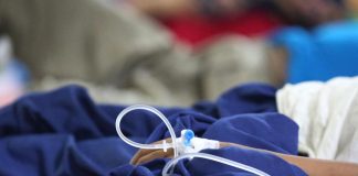 L’allarme Dengue si allarga: i consigli degli esperti su viaggi, cure e vaccini