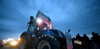 Protesta agricoltori, i trattori oggi tornano a Roma