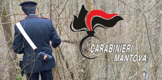 Spaccata a Felonica, in manette tre rumeni domiciliati a Sermide