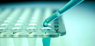 Malattie rare, terapia genica ‘bimbi in bolla’ efficace e sicura a lungo termine