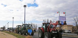 Protesta agricoltori arriva a Roma, primi trattori su Nomentana