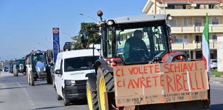 Trattori, una protesta con tanti capi: movimento a caccia di un leader