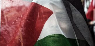 Medio Oriente, Esclapon “Doppiopesismo femminista contro gli ebrei”
