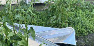 Il forte vento colpisce anche Bozzolo: danni alla palazzina Tea di via Castello