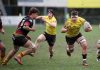 Rugby, Caimani in campo oggi contro Verona allo Zaffanella