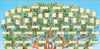 Alla ricerca dei propri antenati: alla biblioteca “Virgilio” tre incontri dedicati alla genealogia